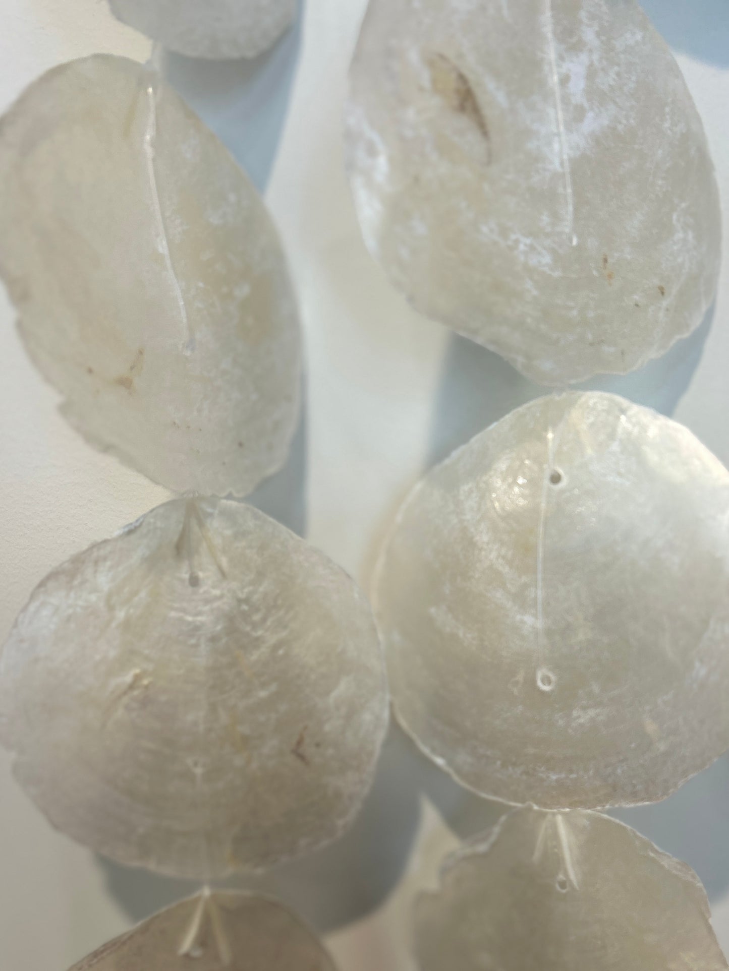 Capiz shell hanger