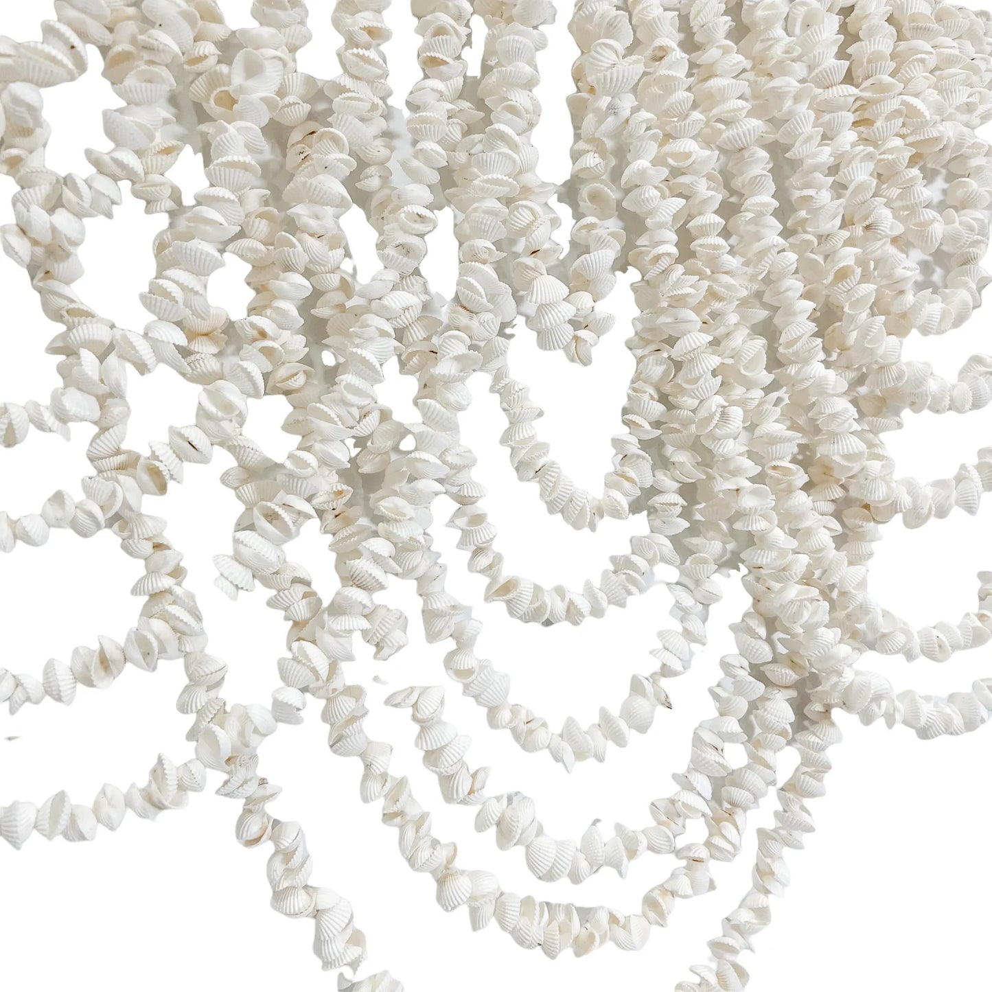 Cascade wall hanging - ark shell