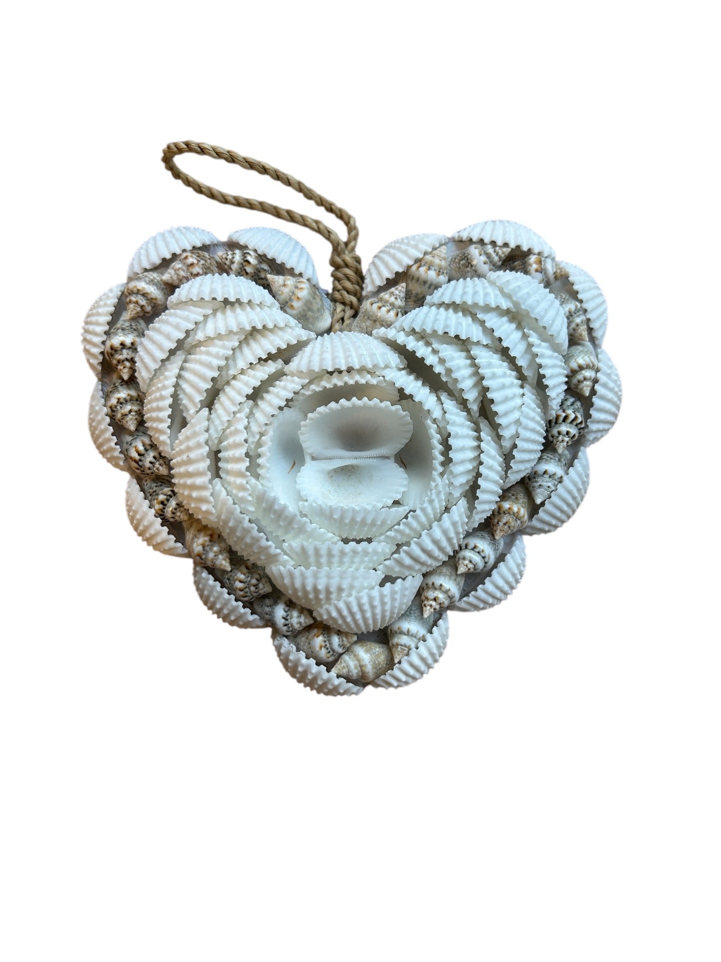 Shell wall hanger
