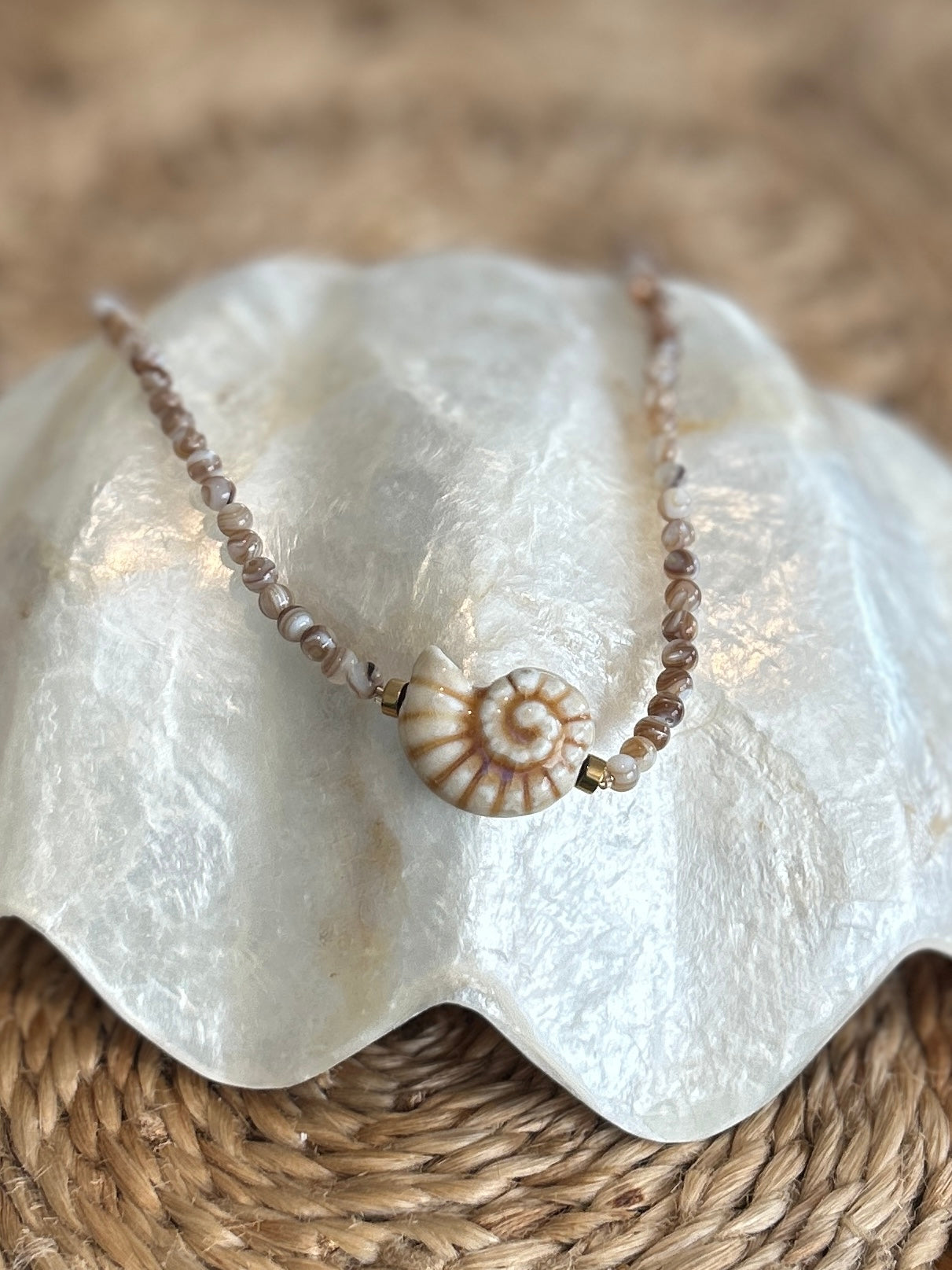 Nautilus necklace