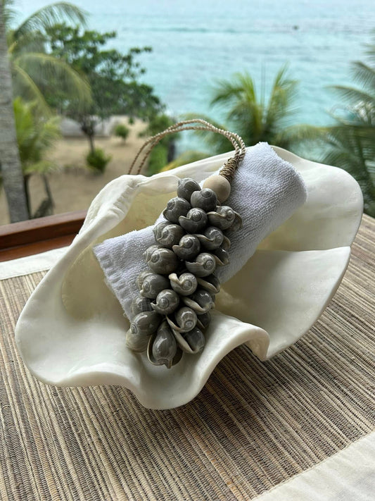 Clam Shells - Small