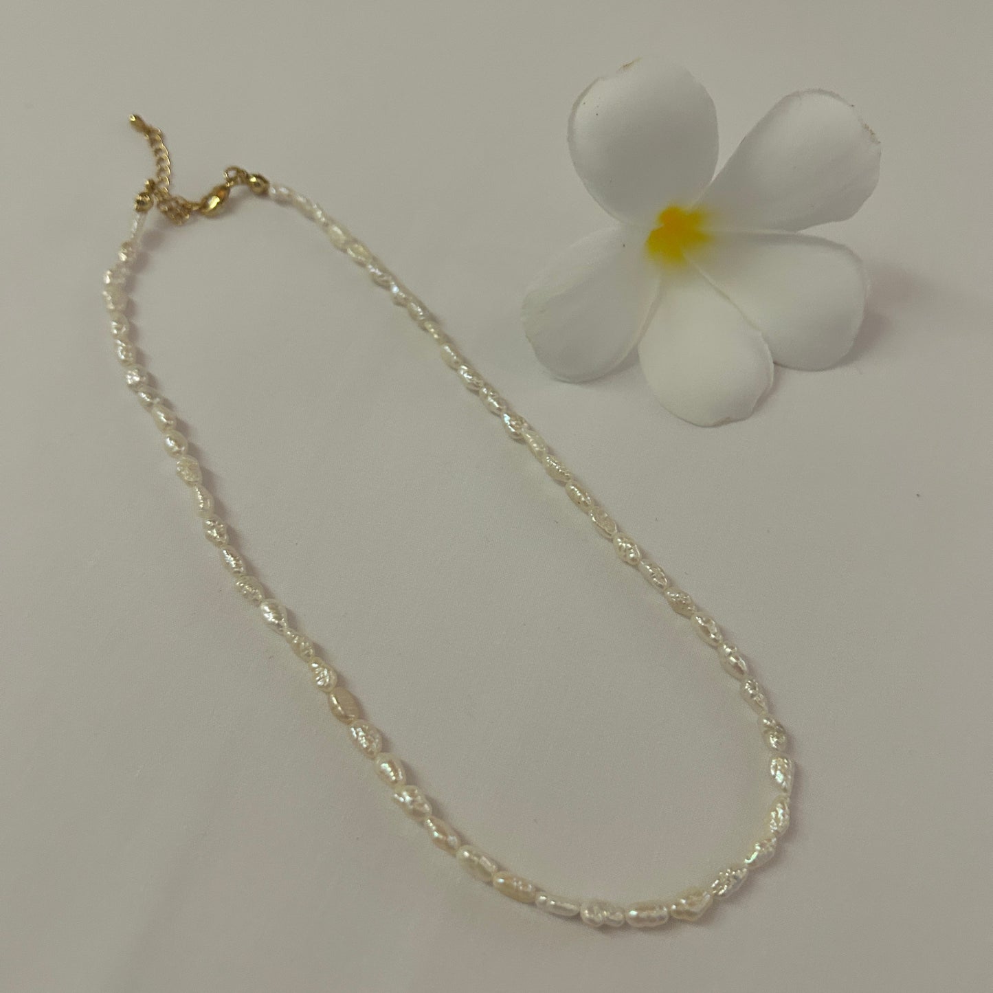 Seed freshwater pearl choker style necklace on a white background with frangipani flower