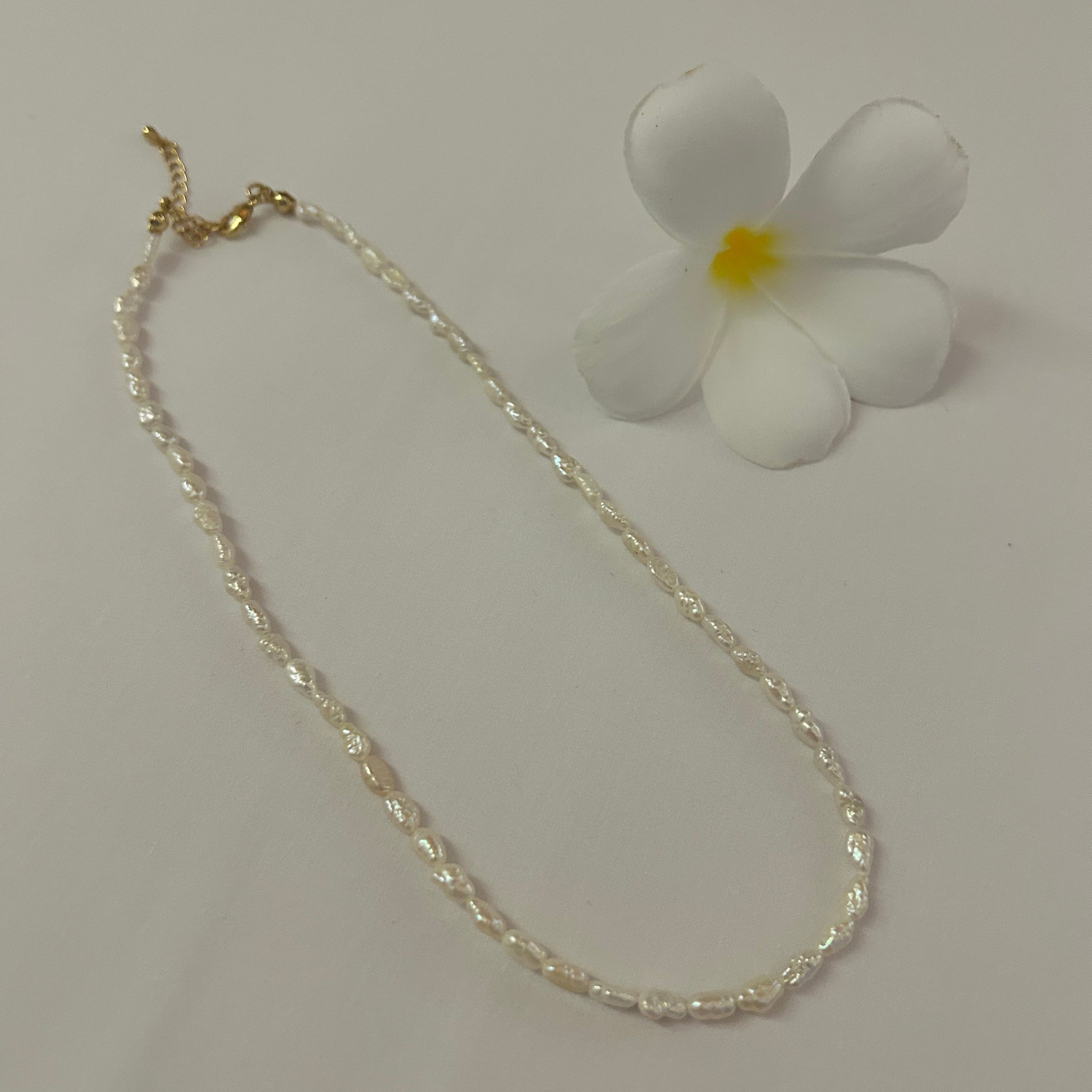 Seed freshwater pearl choker style necklace on a white background with frangipani flower