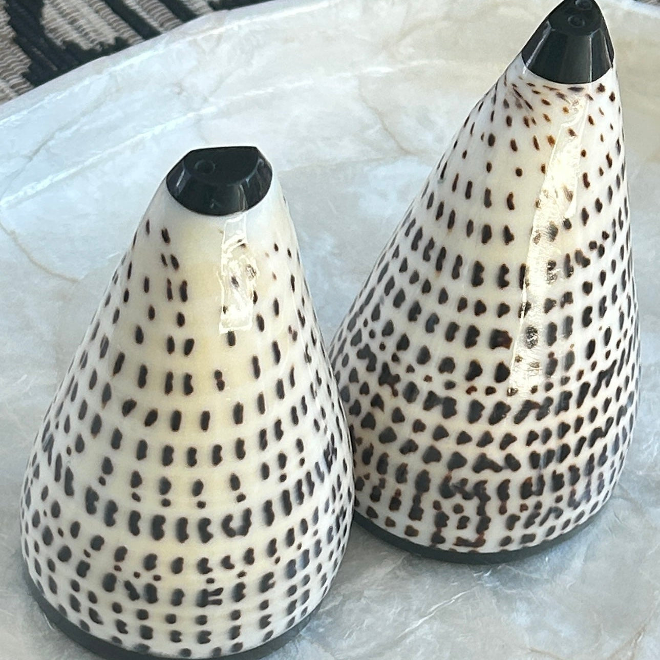 Two shell salt and pepper shakers with black dot patterns on a marble surface.